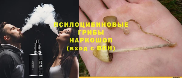 ешки Алексин