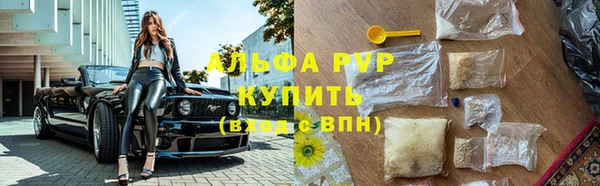 ешки Алексин